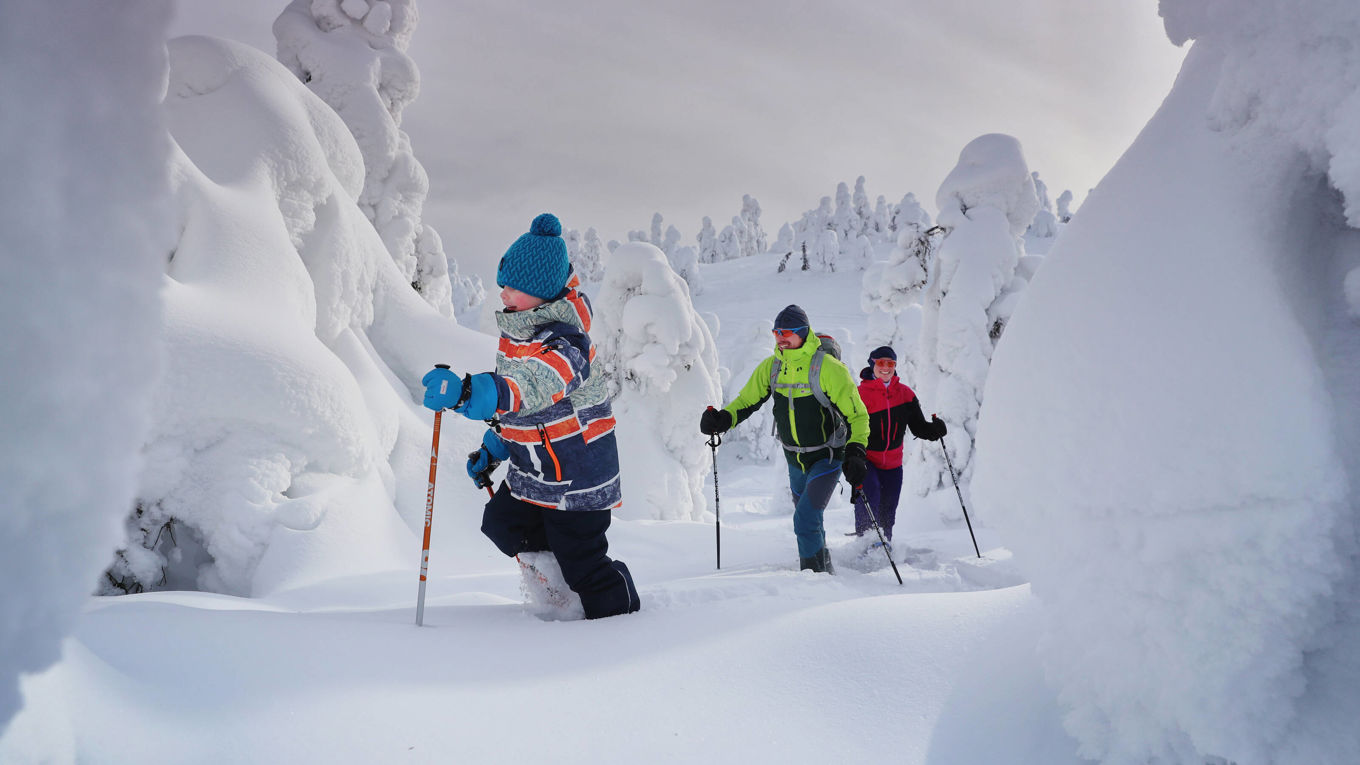 @Harri Tarvainen